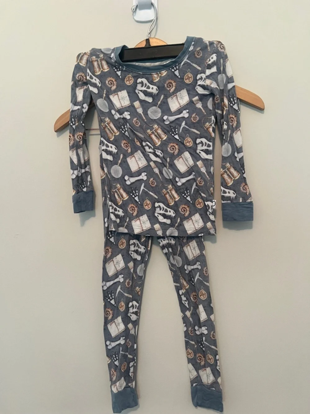 Digging Dinos bamboo pjs